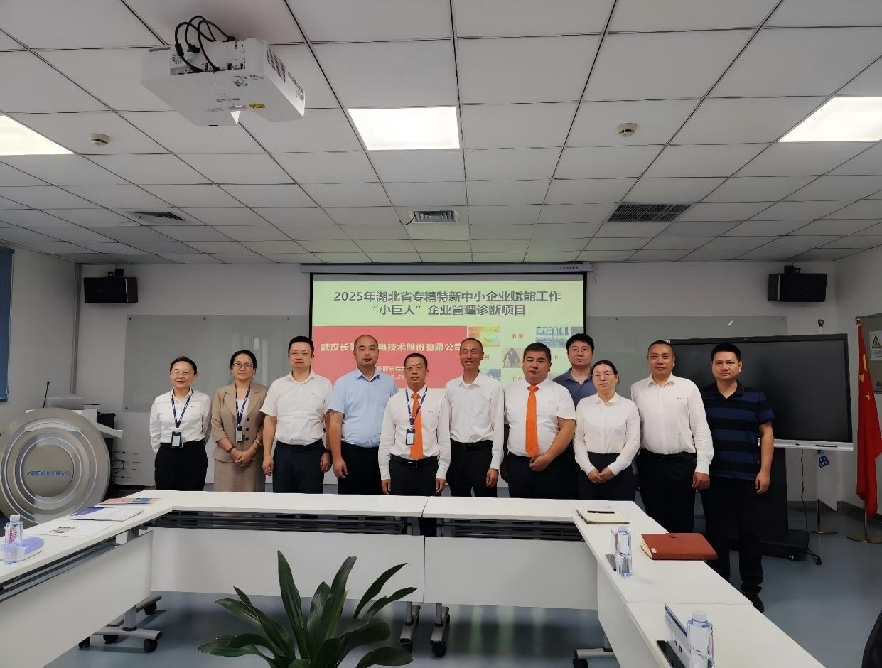 精準“把脈”促升級！湖北“小巨人”企業管理診斷項目賦能高質量發展